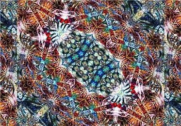 美国上诉法院拒绝FTC针对微软动暴临时禁止令请求